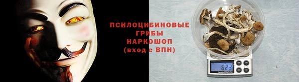 mdpv Инта
