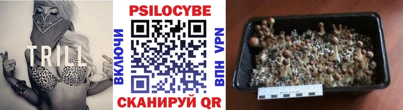 Купить закладки  Долинск  Галлюциногенные грибы прущие грибы 